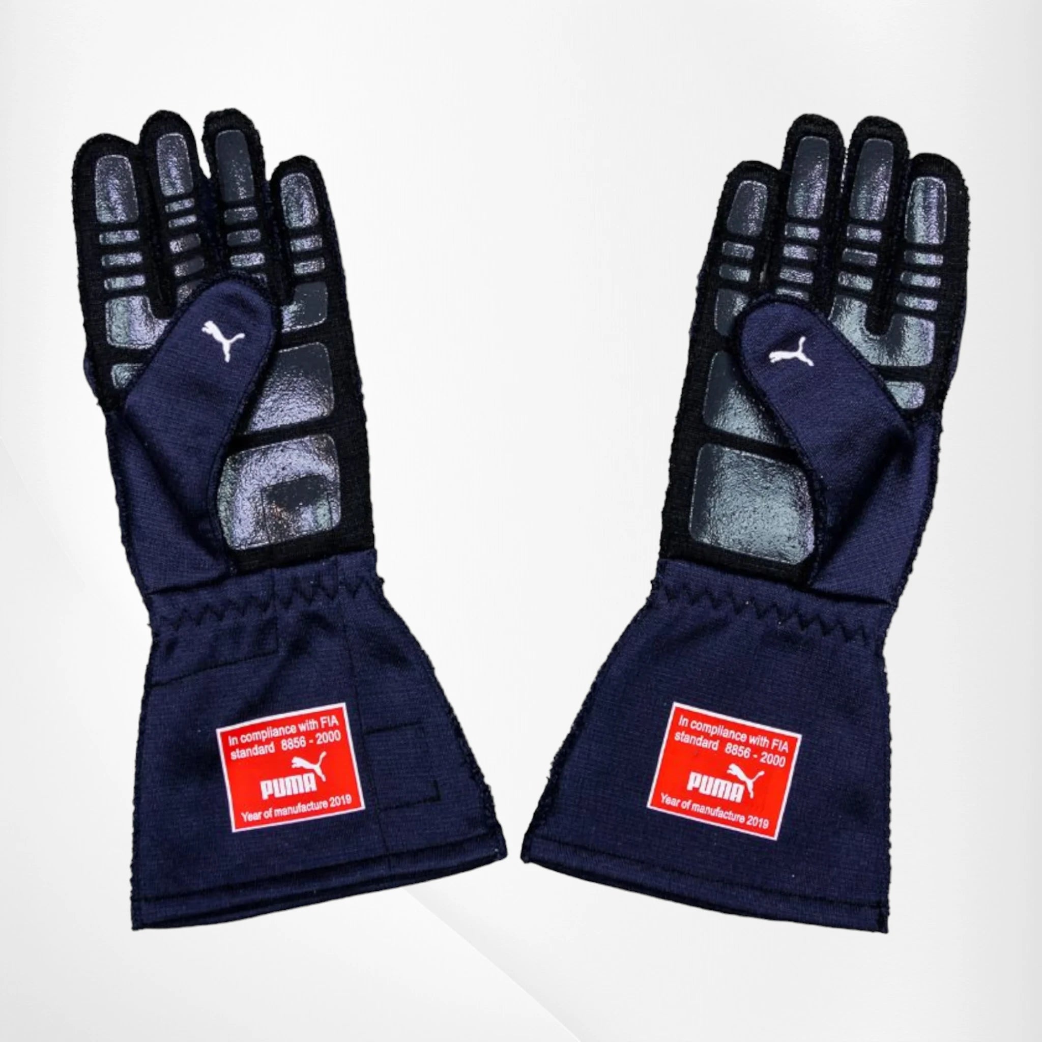 2019 Red Bull Pierre Gasly F1 Race Gloves